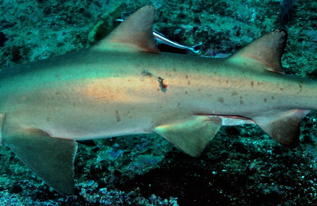 5795ba2b-9065-4420-849b-e67846a6b36c