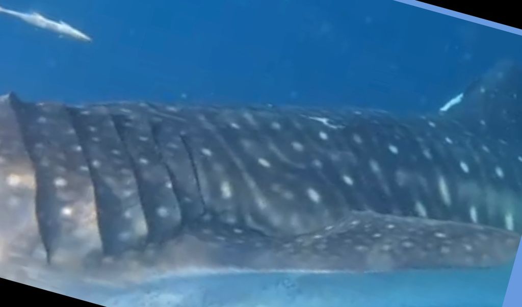 e8066840-de07-4904-9809-236e6dec0579