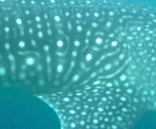 fff47669-6228-4be5-b1a7-dd9b2f22a79a