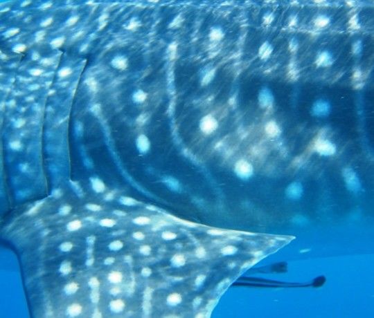 98a8baa7-5ce0-4543-ab81-cf888d6eb37a