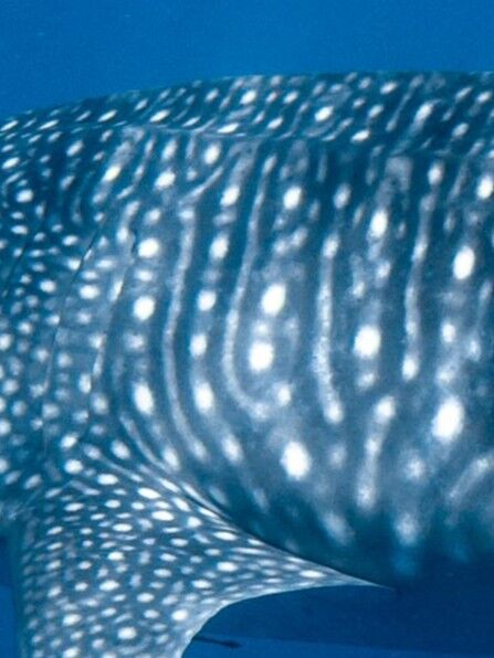 500ab122-27e3-40f1-b13e-aeb7f028019e