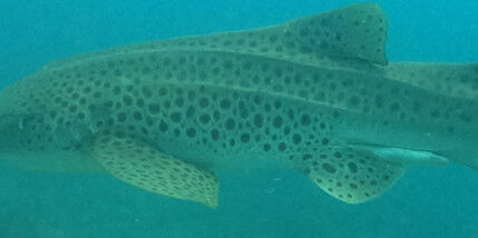 6da96ec4-1b5a-427a-a643-9028f7737e40