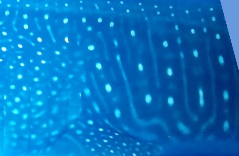 2e288e70-551e-4024-a344-caf3a6ed80cb