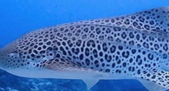 d82a9b01-3a0b-4d5b-a223-6a68769535ec