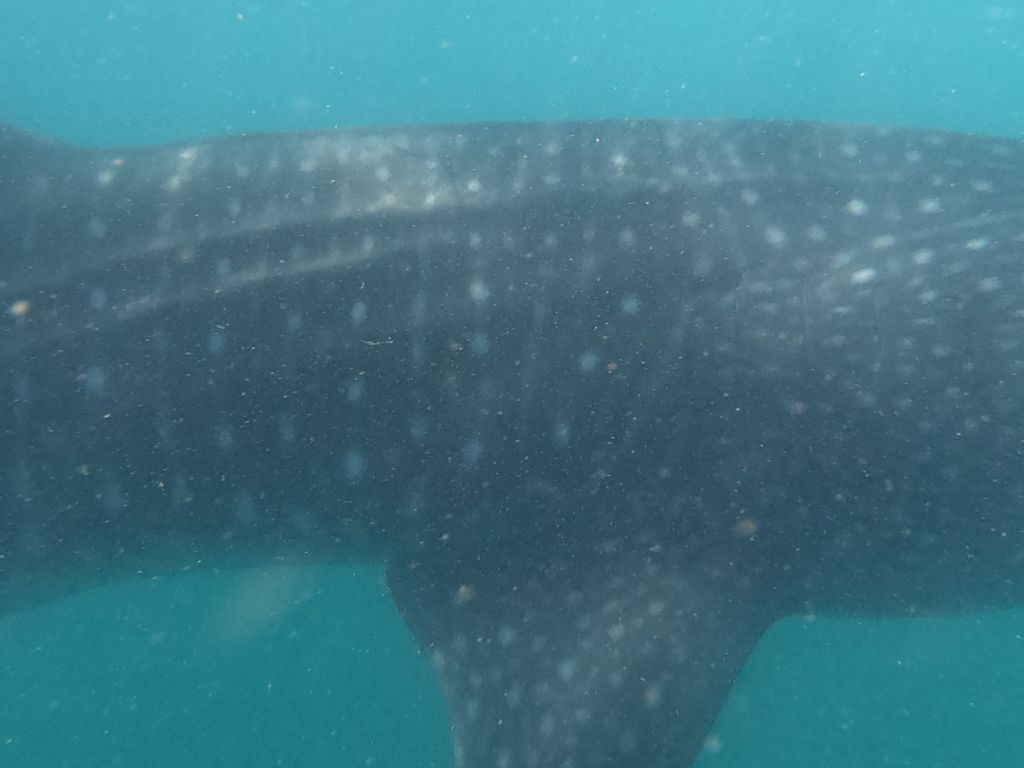 8c86ced8-3880-4e30-818b-4c5b40f6b1e3