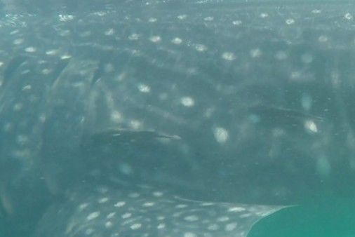 886b2395-9ccc-427e-bc34-c56250544468