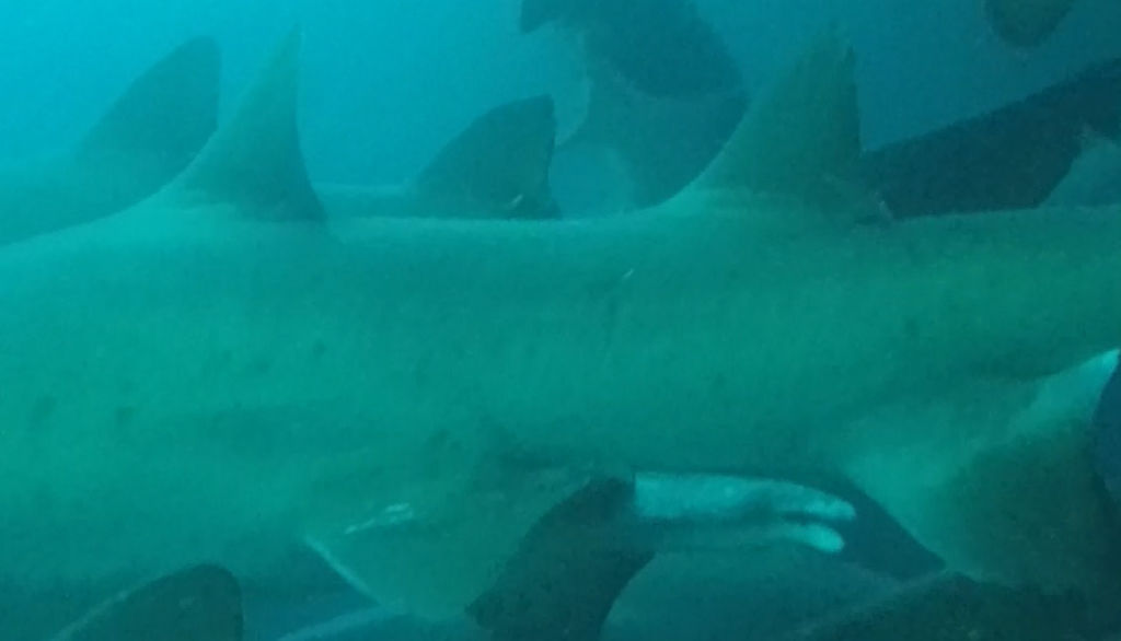 e54b827d-2085-4268-bcf2-eab623344882