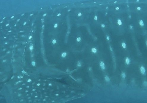 be72749b-c1d8-4a2f-97a8-0a778feb0ff6