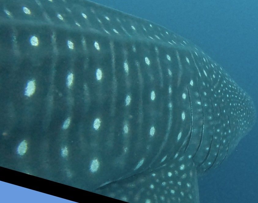 be72749b-c1d8-4a2f-97a8-0a778feb0ff6