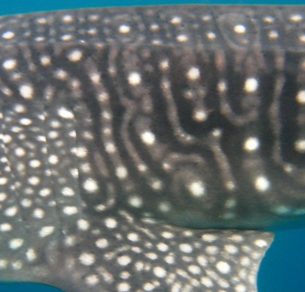 0d3a304c-21f0-4ff7-a816-428f4efdac2e