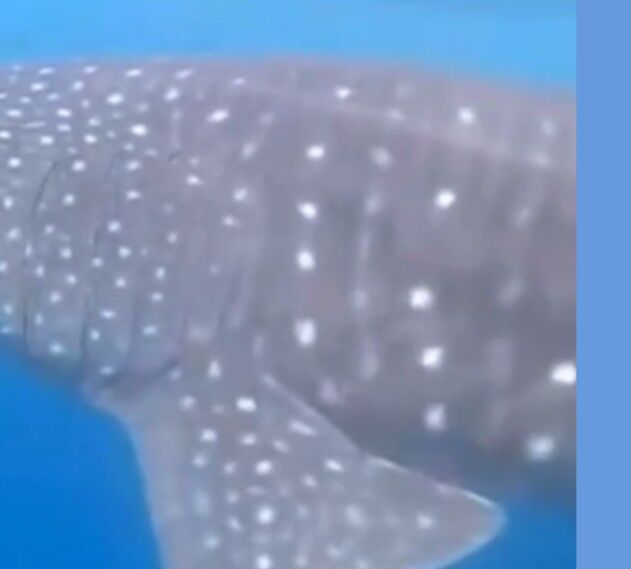 6d708767-68d8-40c4-917b-07760501ceda