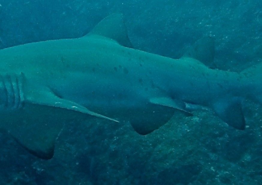 e7cb133c-e10a-4890-9c67-193a103bd188