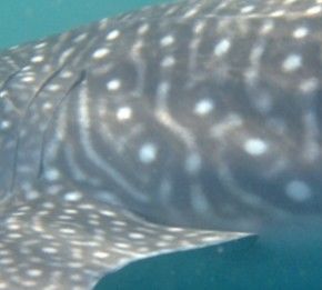 af29cefc-cb5d-47f1-8142-546fde1008bc