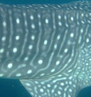 af29cefc-cb5d-47f1-8142-546fde1008bc