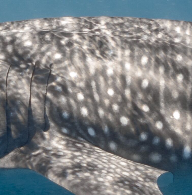 46118357-3342-4657-9a67-5498da5df73b