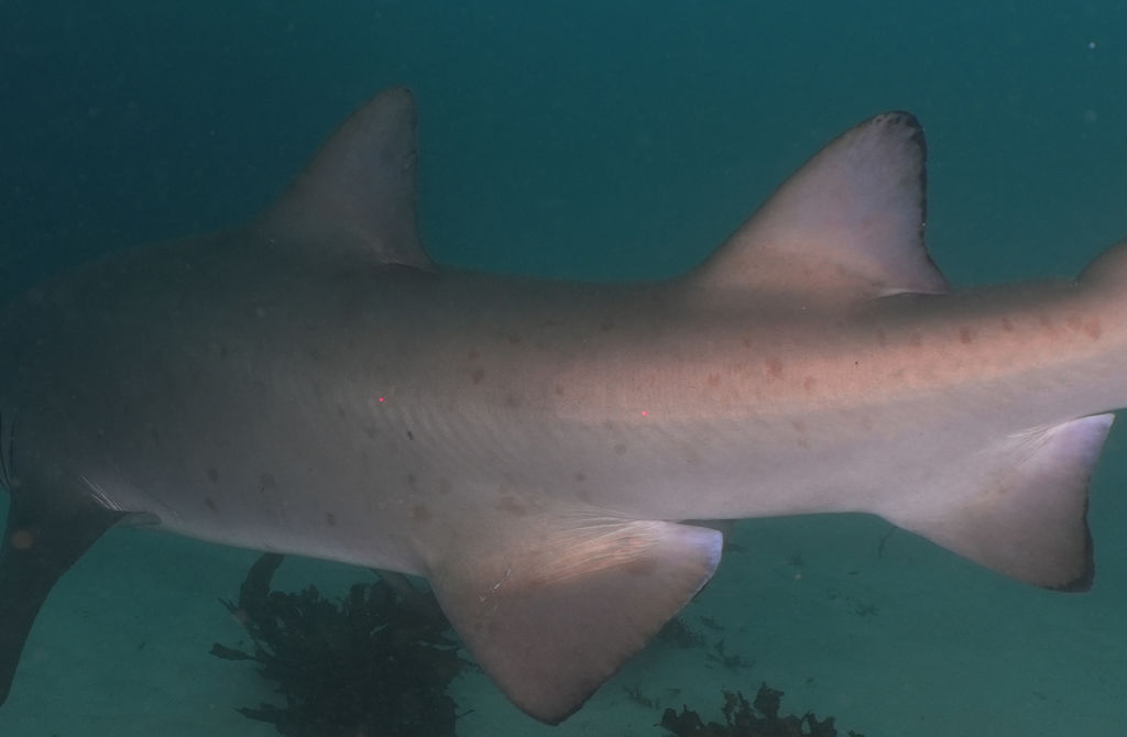 e7b05e60-bc3d-41b8-a988-f6af29337108