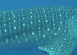 81f0a8ba-470c-478d-b900-6907f89a177b