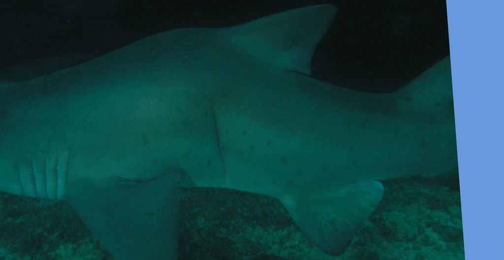 3e672358-6152-4b55-8bdd-aa331df145c1