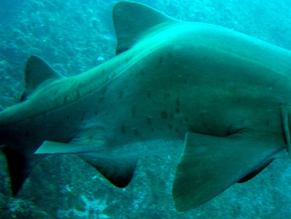 3e672358-6152-4b55-8bdd-aa331df145c1