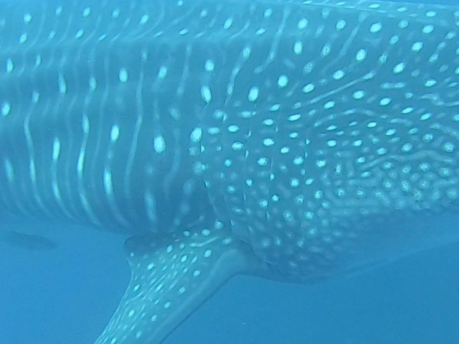 018c79a1-a133-4a17-b072-2d120edd1cc9