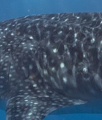 3cb21992-6410-4dd8-9274-bbac0df16a01