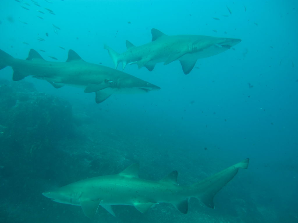 9502a086-3f19-4a5f-8678-ad41577c76e0