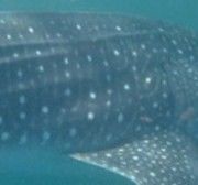 af07891b-9d7b-49b5-bb47-c980fe55f366