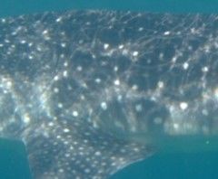 af07891b-9d7b-49b5-bb47-c980fe55f366