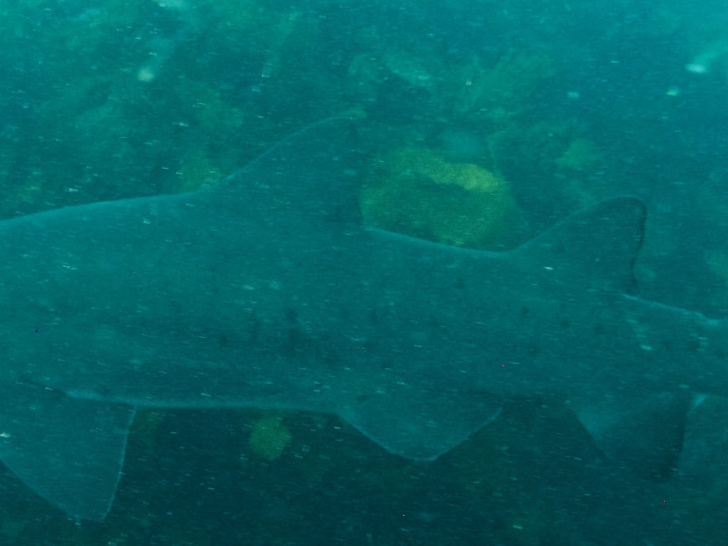 04c0b7e4-0600-4892-b545-8c6d292a8853