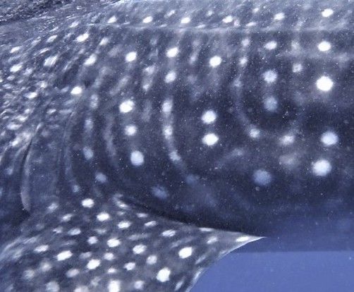 2e168328-30b8-408a-98c7-3a3b61a890f4