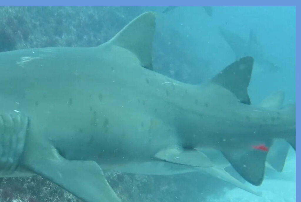 cb961dd2-47e4-4499-92da-a1e5d0a224f0