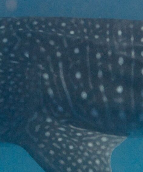 e30b7027-0b99-4500-b401-301a6c53cd99