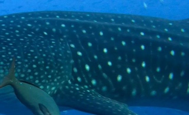 f25f975d-a6b1-44f7-999f-251a890fc134