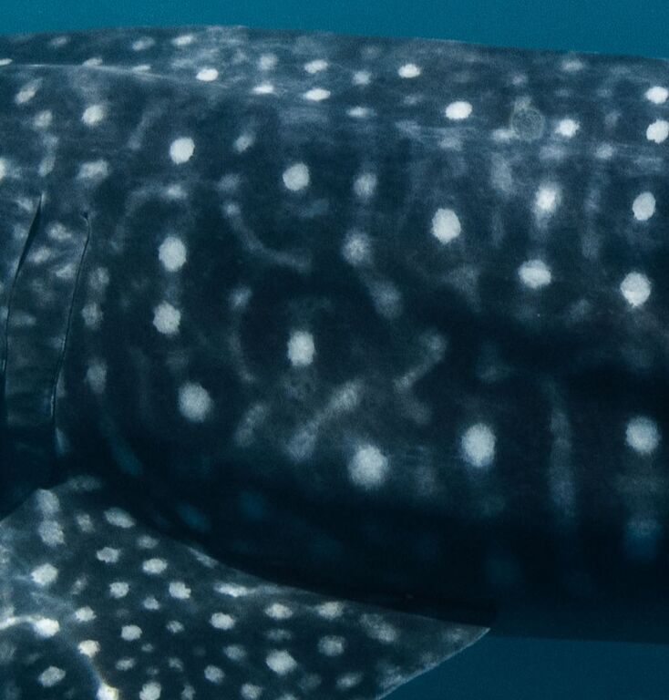 1354f61f-efc0-4fcf-ae20-6b00f677622c