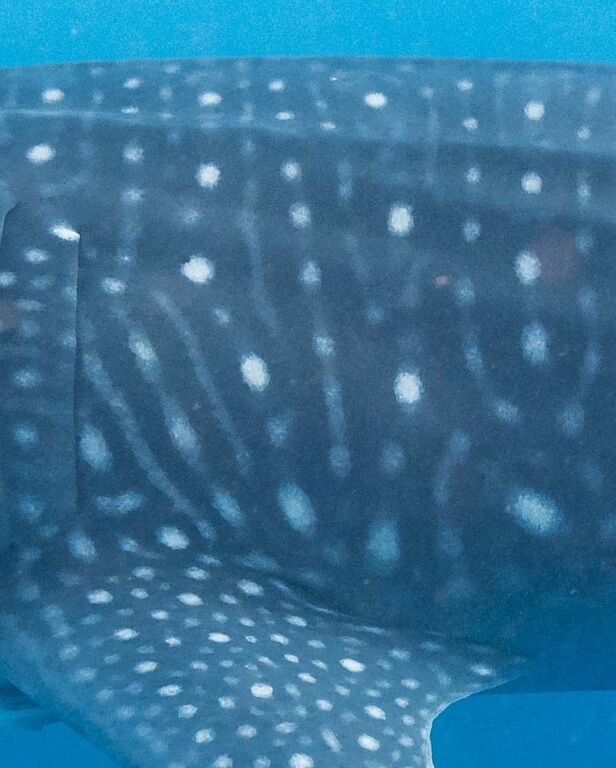 e28c476b-94a3-4b0d-84cc-e954823daca4