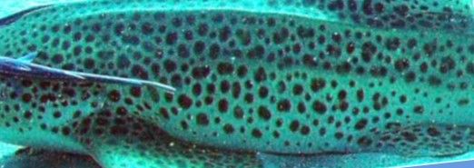 25d51442-7c8e-4f1c-9e84-6ea339ef0ca3