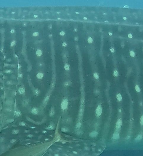 d088bdc2-17f8-4c38-9fdf-a369494ab39c