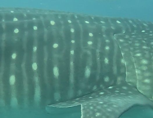 d088bdc2-17f8-4c38-9fdf-a369494ab39c