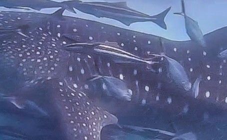 4545c582-3413-40b2-9d5d-782bb406b459