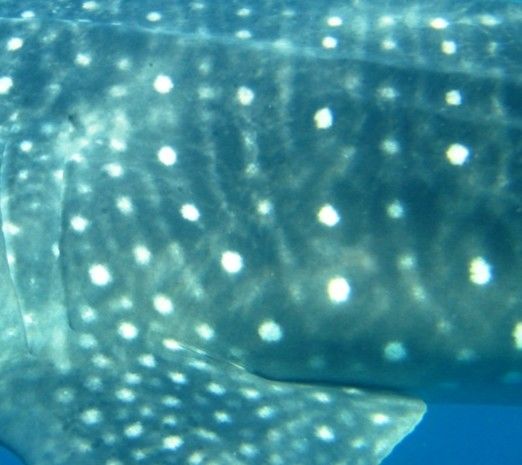 9b2720a0-b6c4-4058-866f-baeee09b75d4