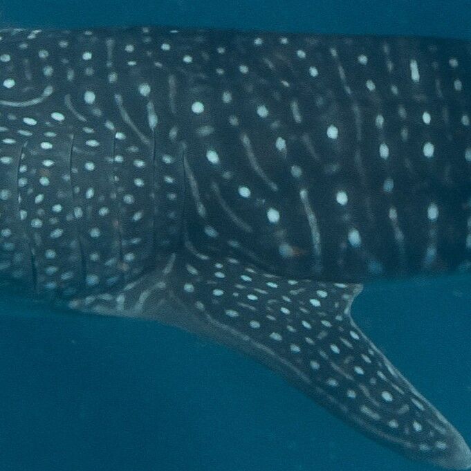 733b397e-ab31-46c3-9399-b53eceb0b7d5