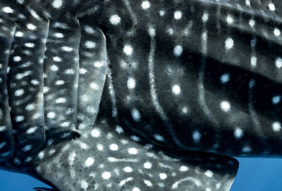 341c4769-4d75-4d5a-b16a-5891350c4e56