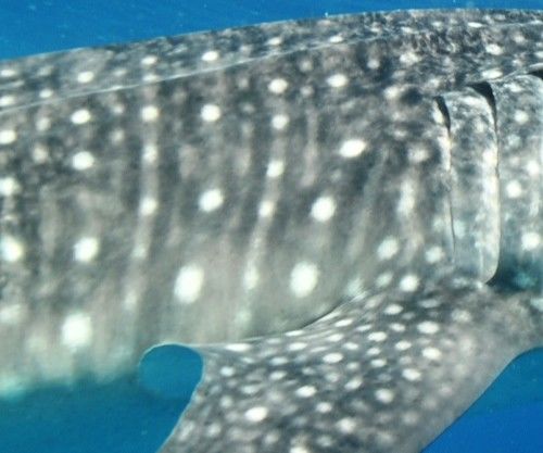 a51fe8d1-f4a6-406b-943c-7da437032611