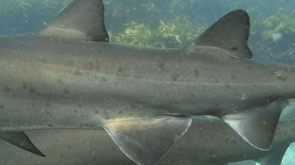 55742381-7a60-423b-aa1e-af6cedd00291