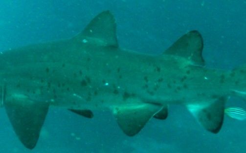 9b322fa7-a1f9-4219-929b-ec24da08ee65