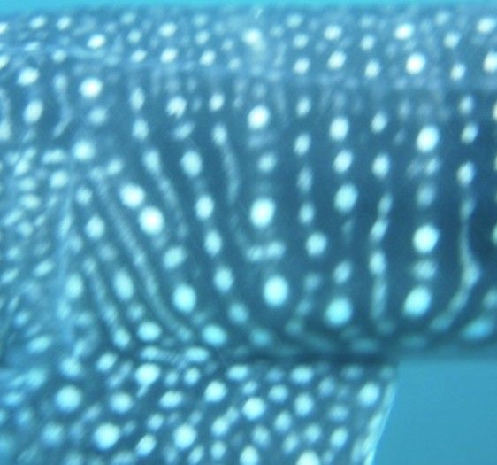 fff47669-6228-4be5-b1a7-dd9b2f22a79a