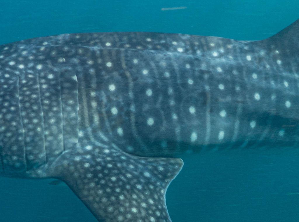 7bb03183-aa10-4434-b7b7-70376d9d1089