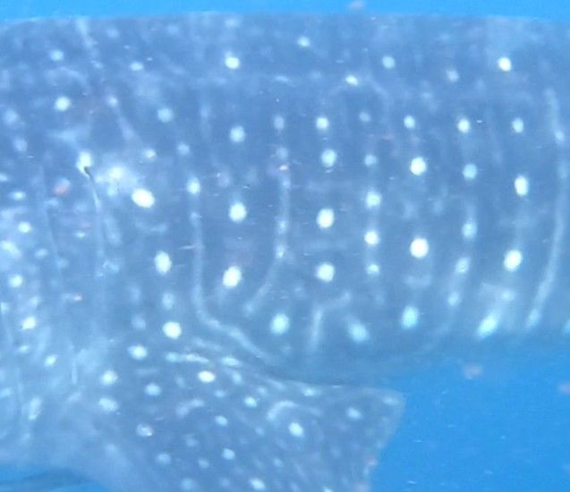 660bf6c0-da4a-4323-89c4-66dc03ca891c