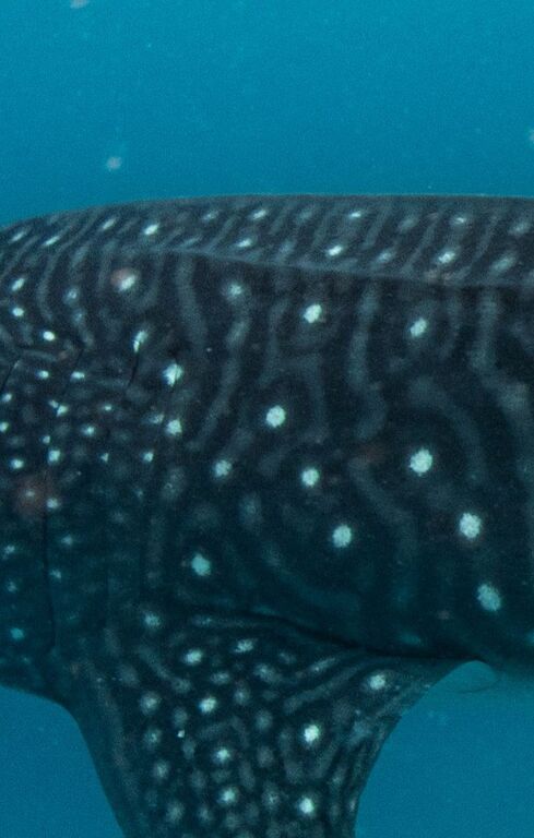 12d065c5-adc4-4848-b539-15167d23c207