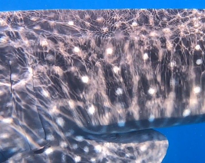 42d8d4e1-c7d2-424f-80a0-14b4d1036229